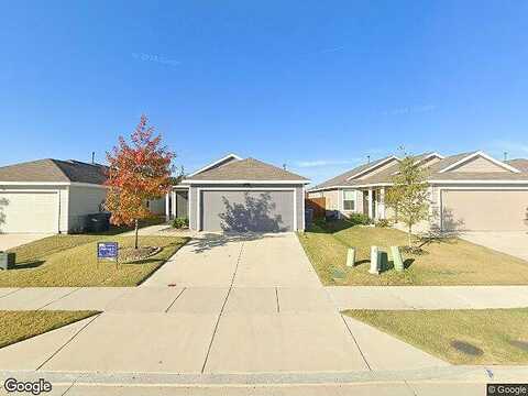 Ruellia, MCKINNEY, TX 75071