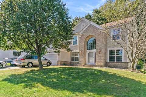 Red Pine, COTTAGE GROVE, MN 55016