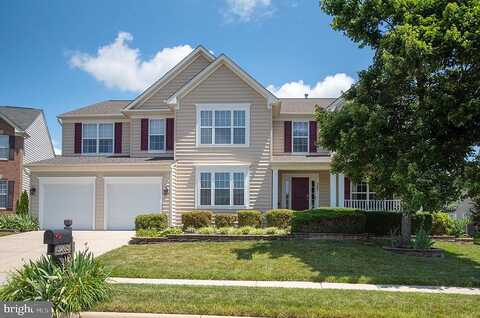 Yellow Birch, FREDERICKSBURG, VA 22407