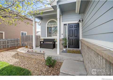 Expedition, JOHNSTOWN, CO 80534