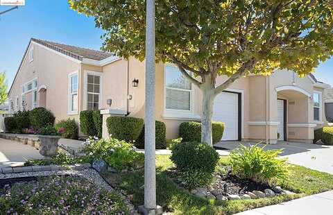 Summer Red, BRENTWOOD, CA 94513