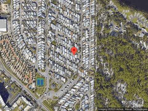 Squid, PANAMA CITY, FL 32408