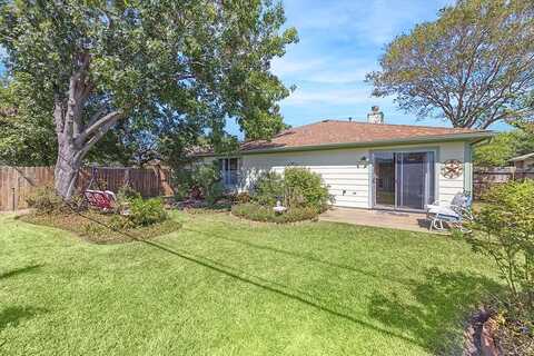 Blue Juniper, KATY, TX 77449