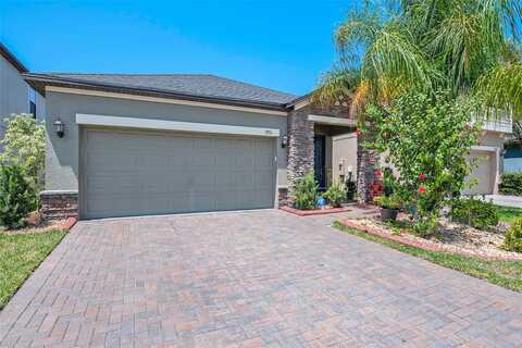 Ivory, SUN CITY CENTER, FL 33573