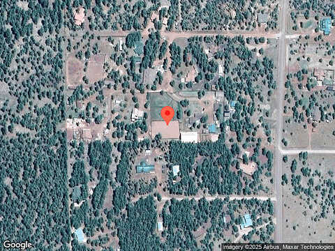 Holly, LAKESIDE, AZ 85929