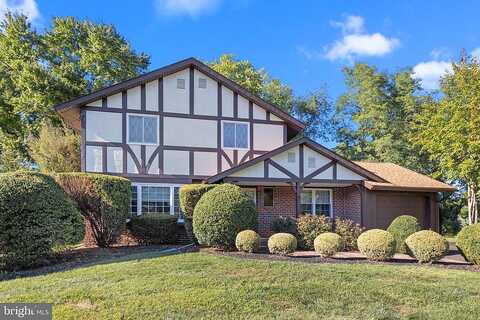 Boxwood, WARMINSTER, PA 18974