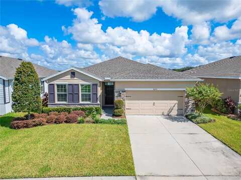 Wheat Stone, ZEPHYRHILLS, FL 33540