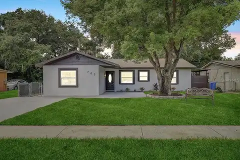 Holly, BRANDON, FL 33511