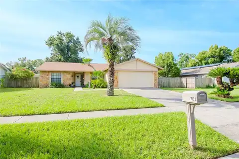 Caliente, BRANDON, FL 33511