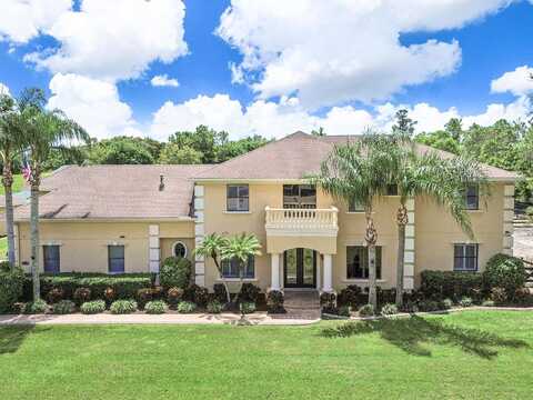 George, TARPON SPRINGS, FL 34688
