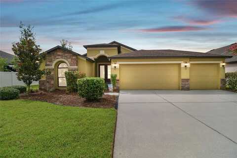 Wild Elm, WESLEY CHAPEL, FL 33545