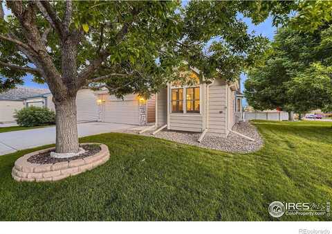 Iris, LITTLETON, CO 80123