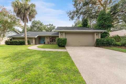 Fayette, SAFETY HARBOR, FL 34695