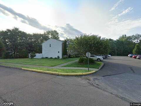 Lily, EXETER, PA 18643