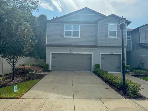 Sylvester, TAMPA, FL 33610
