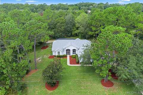 Canarywood, BEVERLY HILLS, FL 34465