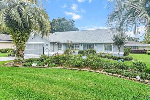 Blueflax, BEVERLY HILLS, FL 34465