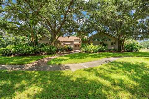 Autumn, PALM HARBOR, FL 34683