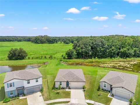 Forrest Plum, ZEPHYRHILLS, FL 33540