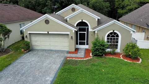 Birds Eye, WESLEY CHAPEL, FL 33543