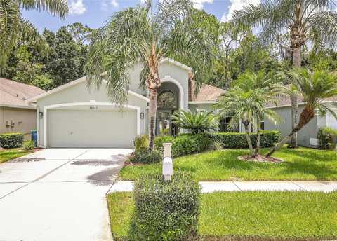 Birds Eye, WESLEY CHAPEL, FL 33543