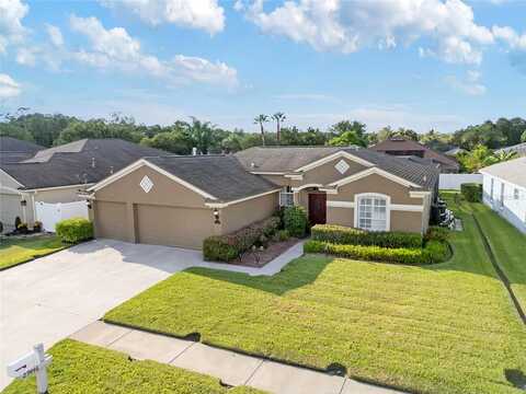 Allegro, WESLEY CHAPEL, FL 33543