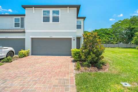 Sweet Viburnum, OCOEE, FL 34761