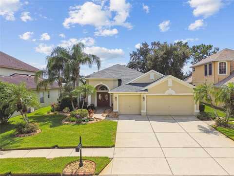 Abercorn, LAND O LAKES, FL 34639