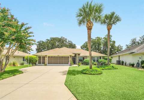 King Henry, LEESBURG, FL 34748