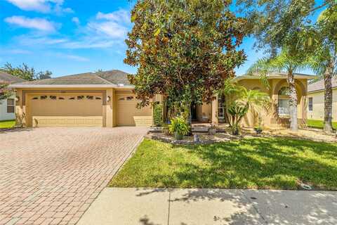 Auburn Leaf, LAND O LAKES, FL 34638