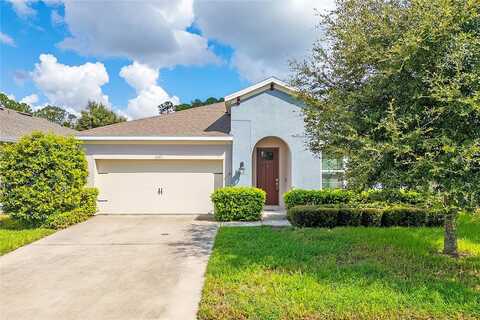 Centipede, CLERMONT, FL 34714