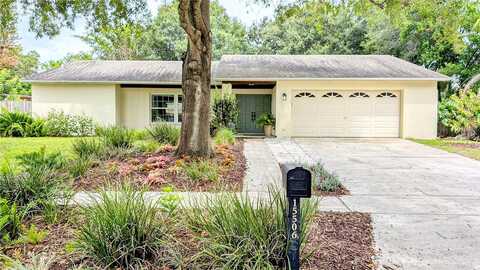 Wetstone, TAMPA, FL 33613