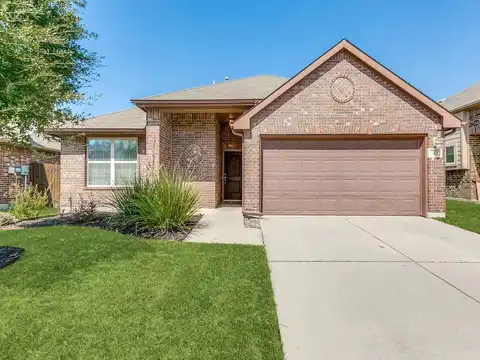Cockatiel, LITTLE ELM, TX 75068