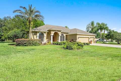 Lunker, ODESSA, FL 33556