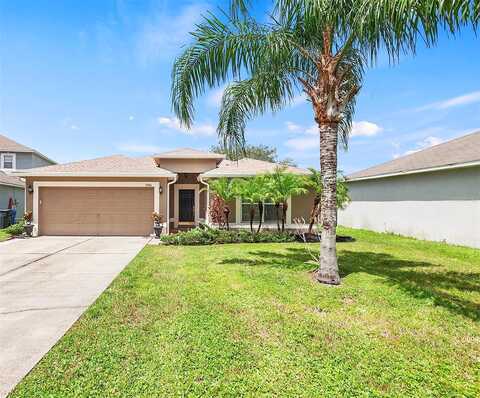 Copper Head, RIVERVIEW, FL 33569