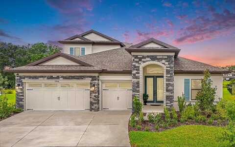 Steed Trace, LITHIA, FL 33547