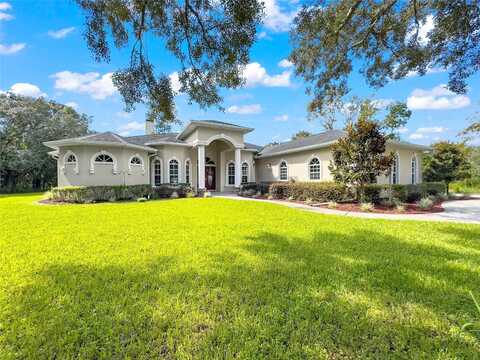 Oak Nut, HUDSON, FL 34667