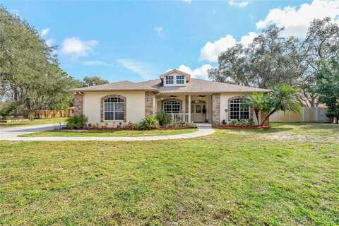 Candy, NEW PORT RICHEY, FL 34654
