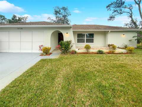 Calico, PORT RICHEY, FL 34668