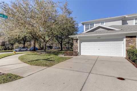 Stone Moss, TAMPA, FL 33647