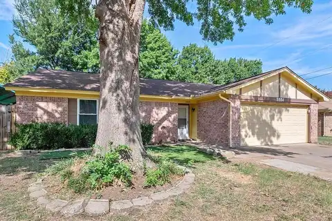 Crepe Myrtle, ARLINGTON, TX 76017