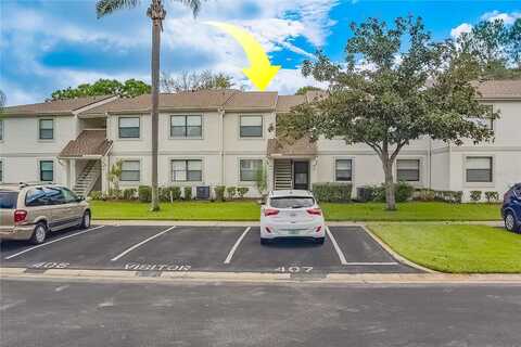 Meadow, OLDSMAR, FL 34677