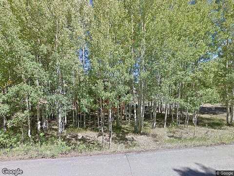 Fir, SOUTH FORK, CO 81154