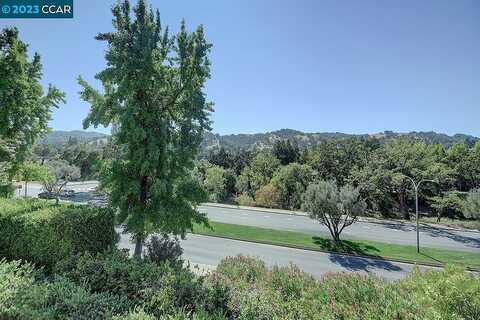 Cactus Ct, Walnut Creek, CA 94595