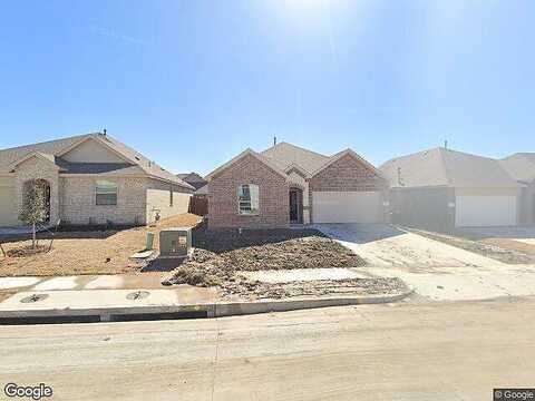 Daffodil, PRINCETON, TX 75407