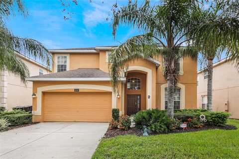 Orange Cosmos, DAVENPORT, FL 33837