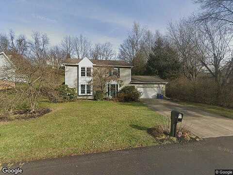 Foxglove, GREENSBURG, PA 15601