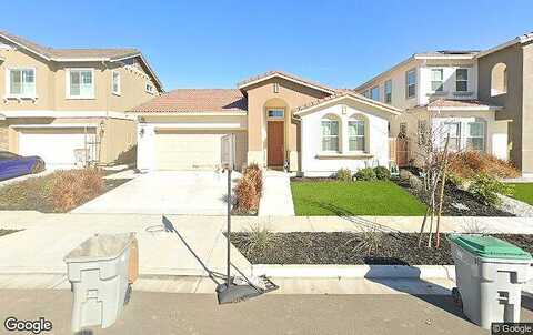 Elderberry, WEST SACRAMENTO, CA 95691