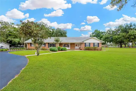 Limona, BRANDON, FL 33510