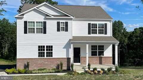 White Tail, LOCUST GROVE, VA 22508